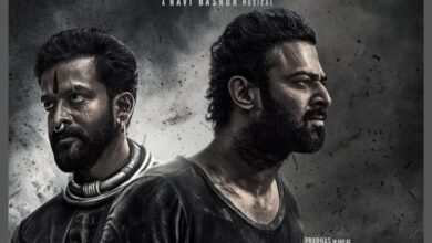 Salaar Trailer Review