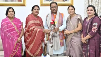 Appointed Corporation Board Chairmen