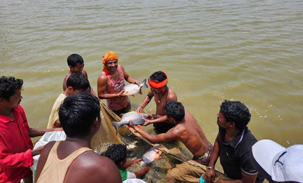 Fish Farming