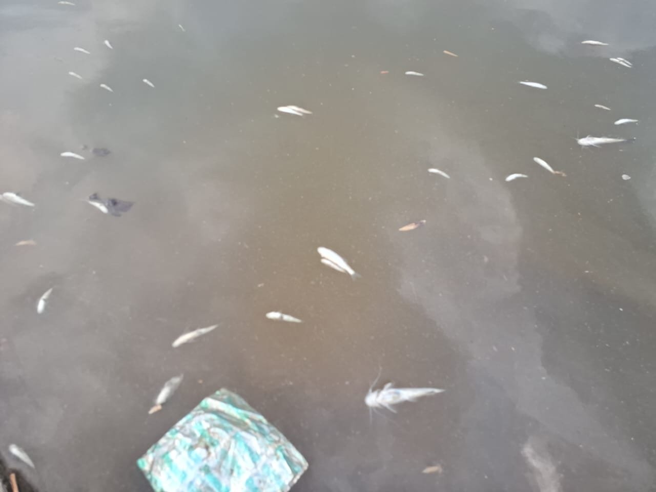 Kanhir River