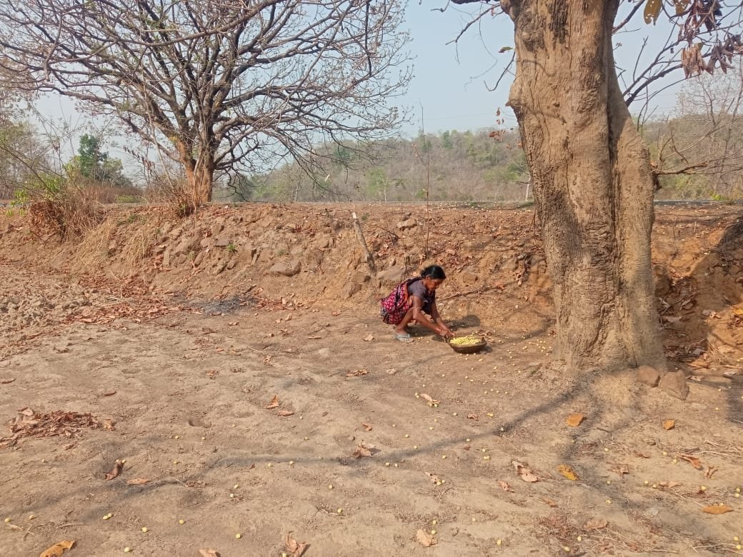 Mahua