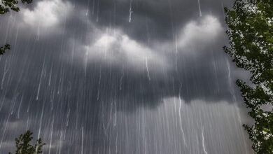 CG Rain Alert