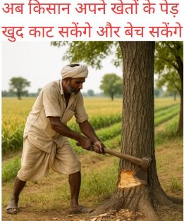 Agriculture Land Tree Clearance