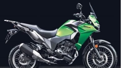 Kawasaki Versys-X 300
