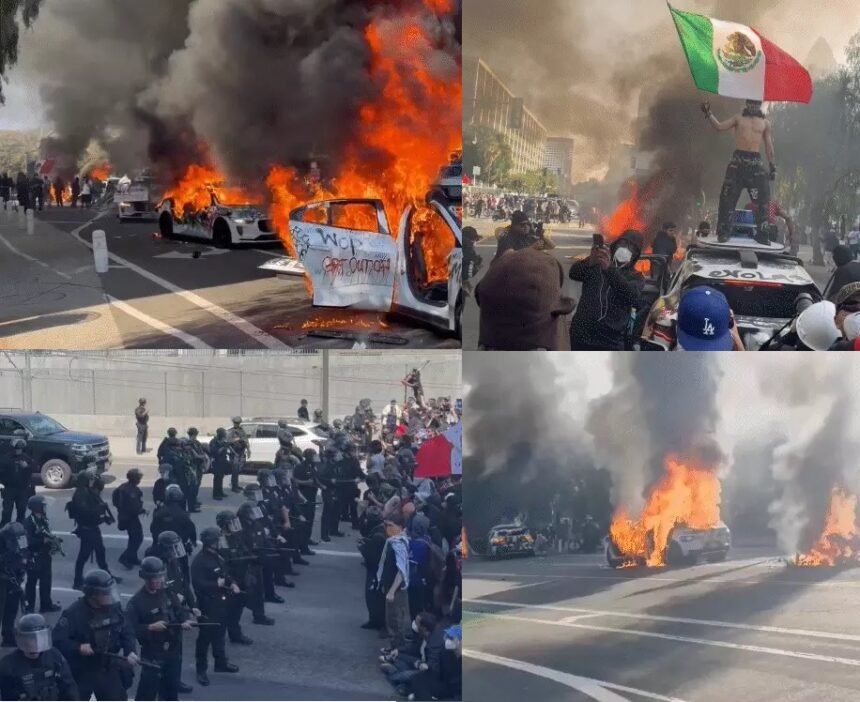 US Immigration Protest Violence