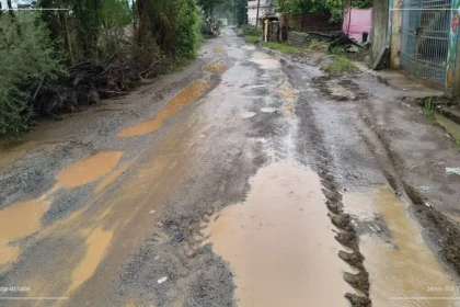 Bhawanipur To Riwadih Road