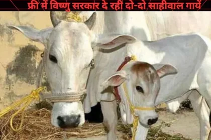 Chhattisgarh Cow Scheme