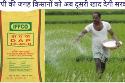 DAP Fertilizer Alternative Arrangement