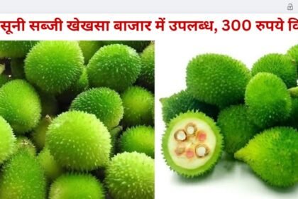 Local Vegetable Kakoda