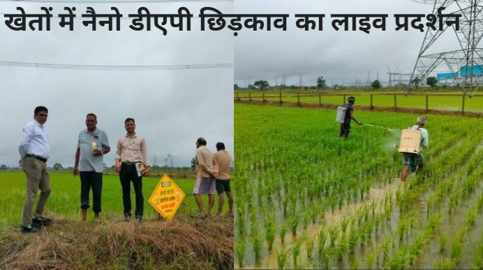 नैनो डीएपी
