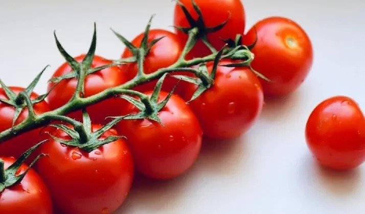 Cherry Tomato Farming At Home