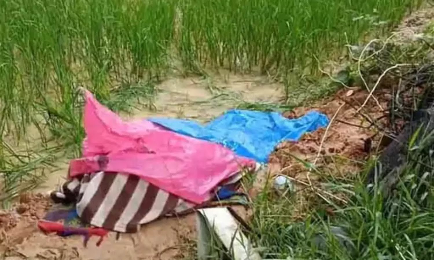 Raigarh Shocking Deaths