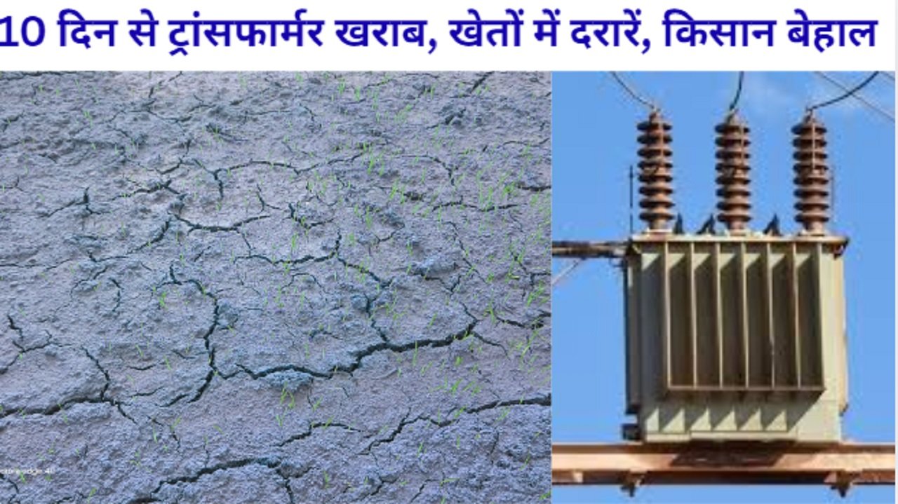 Baramekela News