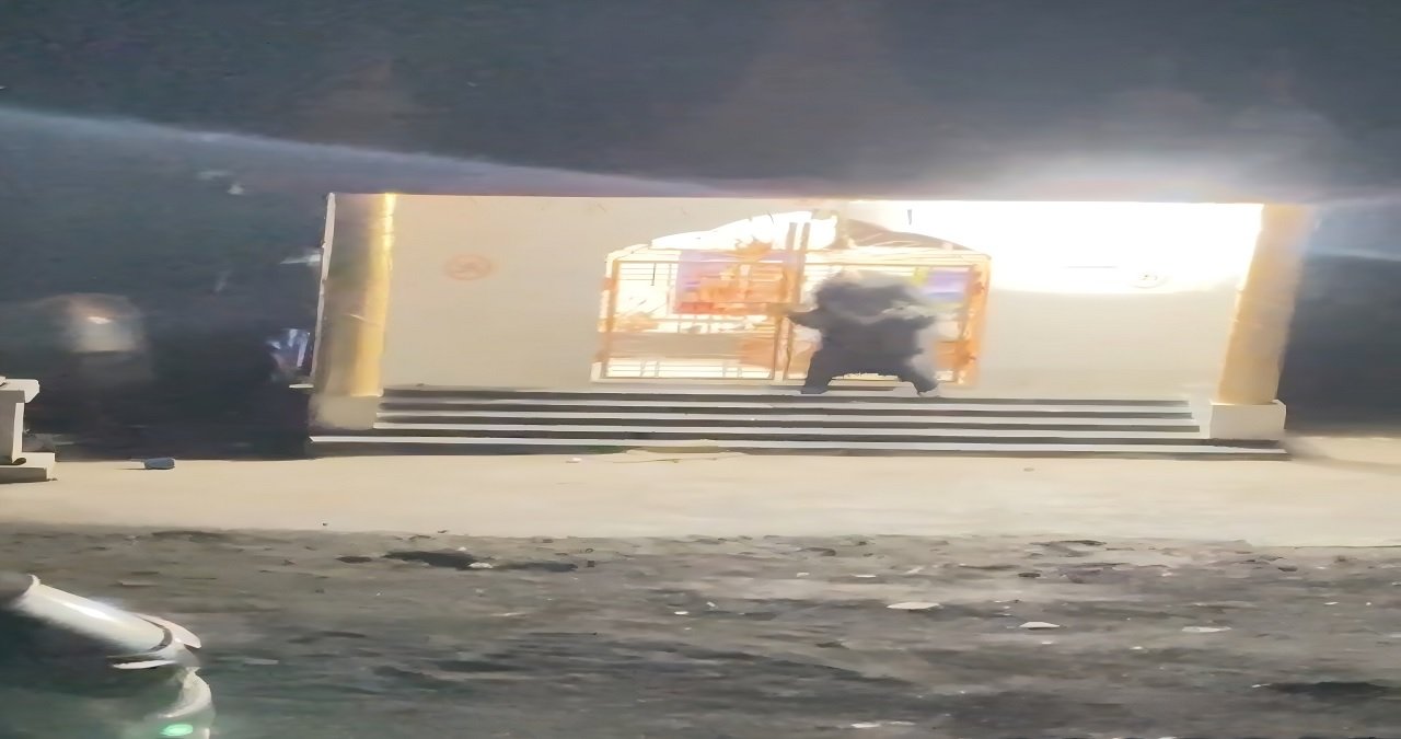 Bear in Shiva Temple Video Kanker