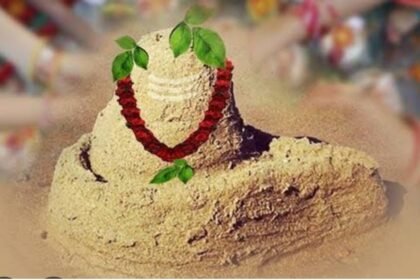 Parthiv Shivling Rudrabhishek