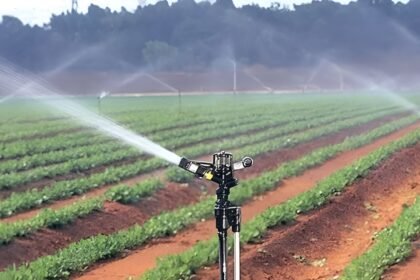 Chhattisgarh Irrigation Projects