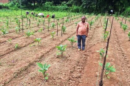 Farmer Income Growth