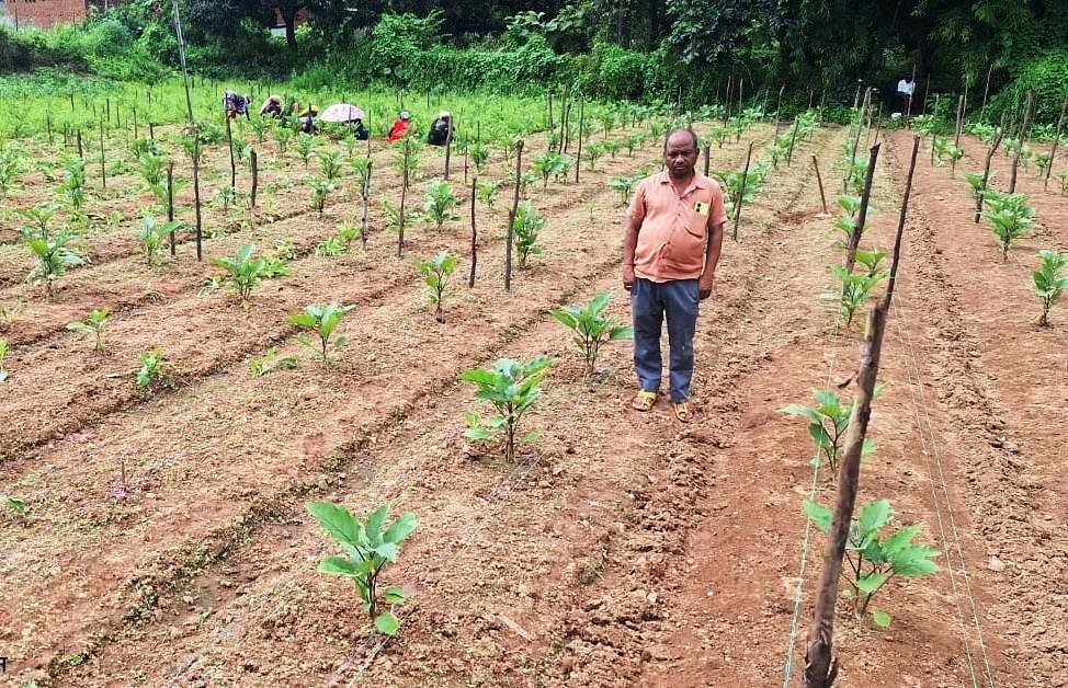Farmer Income Growth