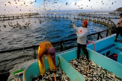 Fish Farming
