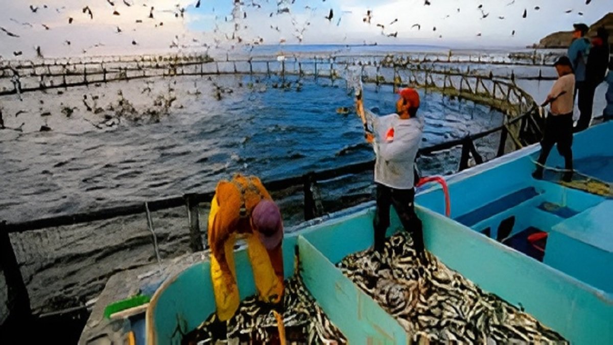 Fish Farming