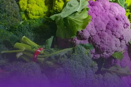 Broccoli Seeds Online