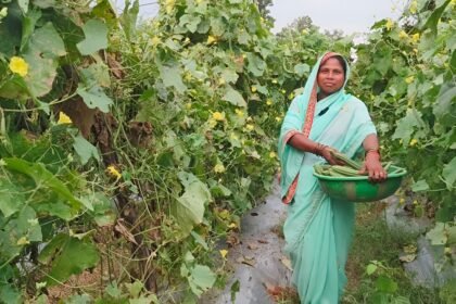 Lakhpati Didi Danvati