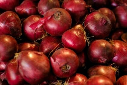 Onion Seeds Online