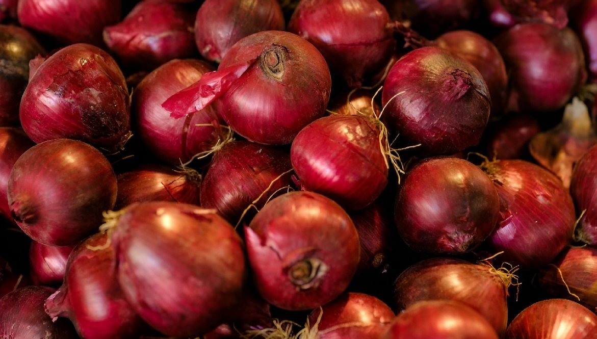 Onion Seeds Online