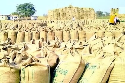 Paddy MSP Registration