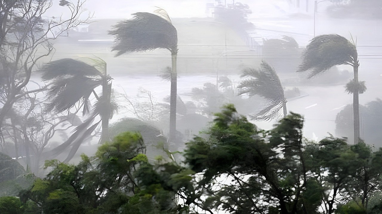 Weather Alert