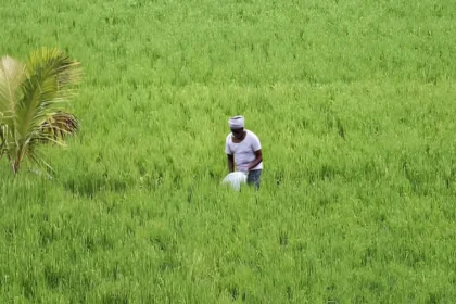 Crop Damage Compensation