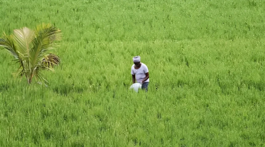 Crop Damage Compensation : किसानों को बड़ी सौगात! जंगली जानवर करेंगे फसल का नुकसान तो सरकार देगी मुआवजा 1 Crop Damage Compensation