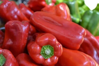 Red Capsicum Seed