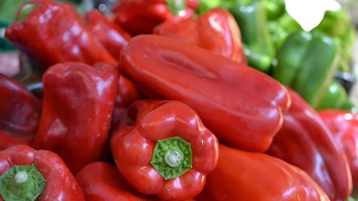 Red Capsicum Seed