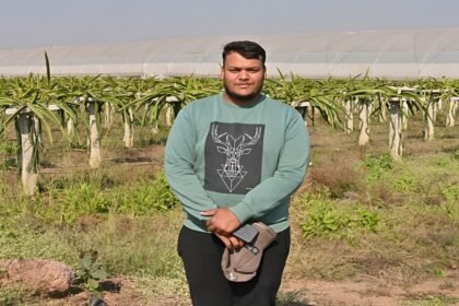 Dragon Fruit Farming