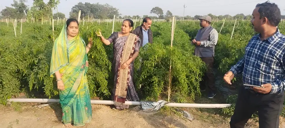Drip Farming Success Story CG