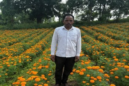 Marigold Farming Profit