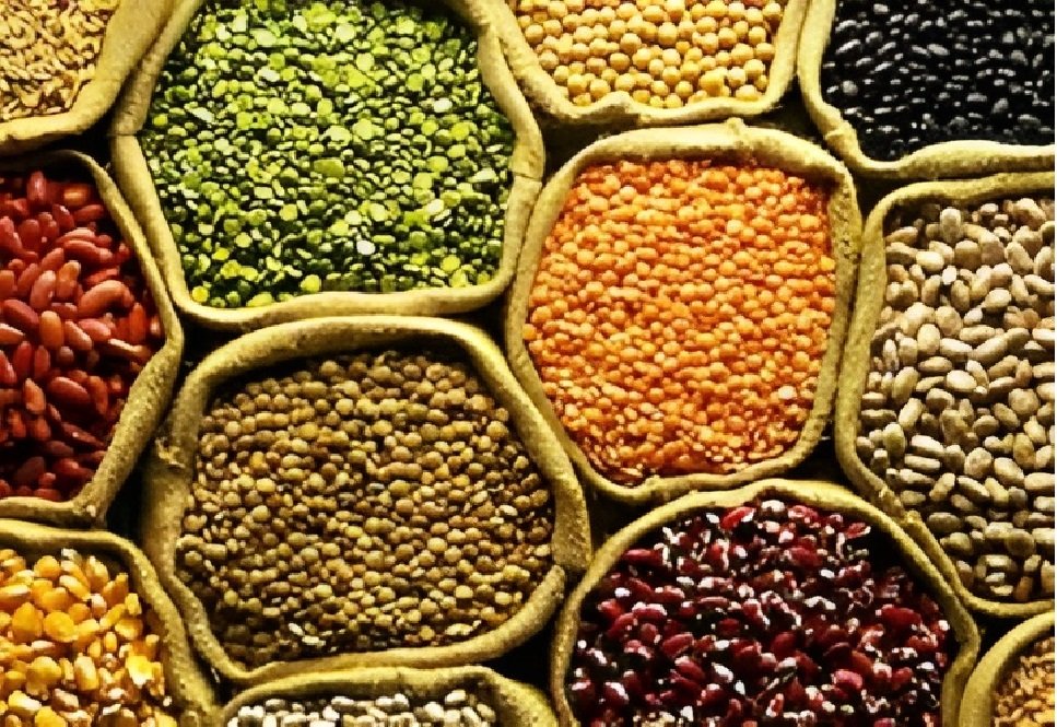 Pulses Oilseeds Procurement Chhattisgarh