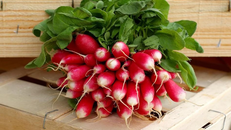 Pusa Gulabi Radish Seeds