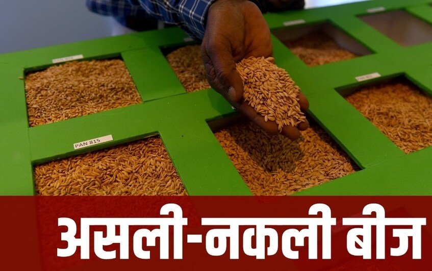 Seed Bill 2025