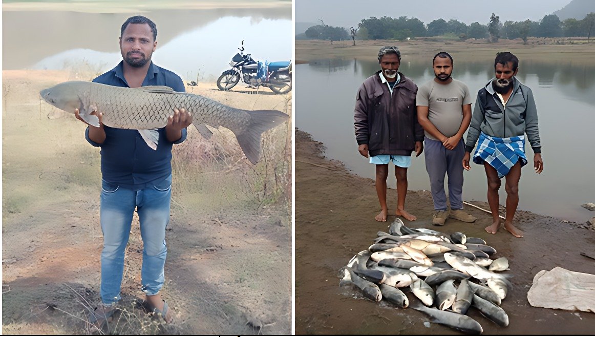 Fish Farming