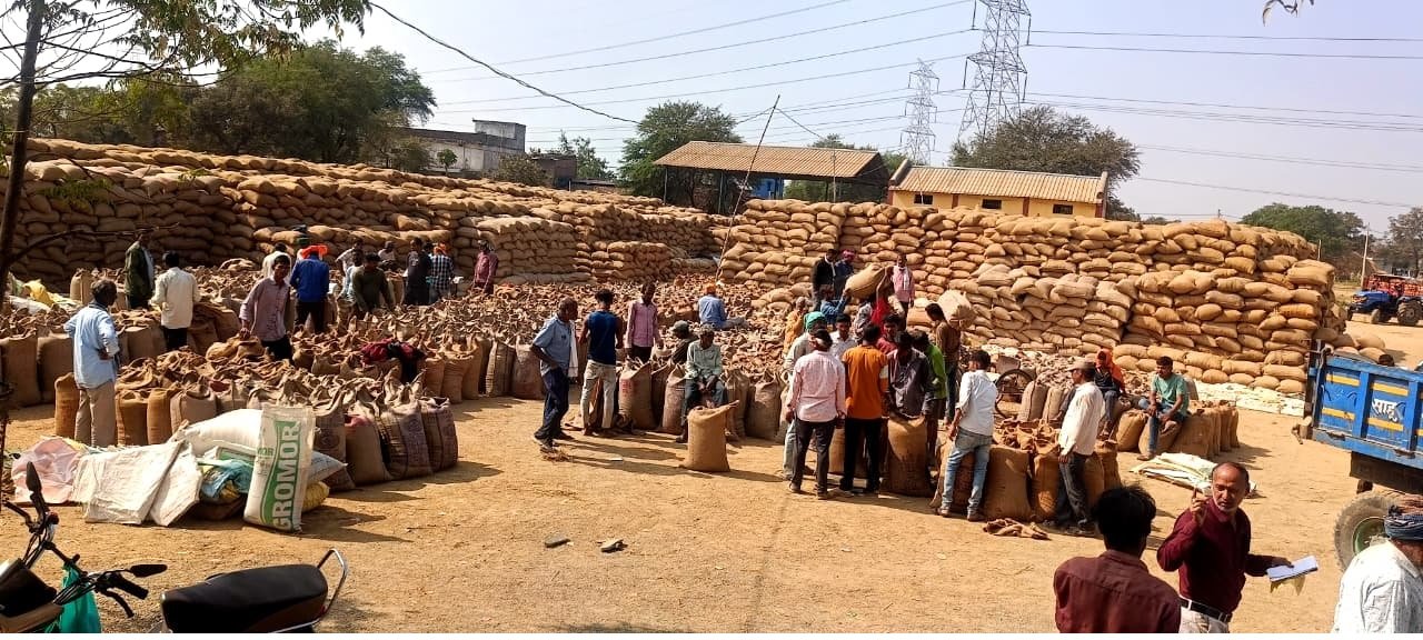 Paddy Procurement Scam