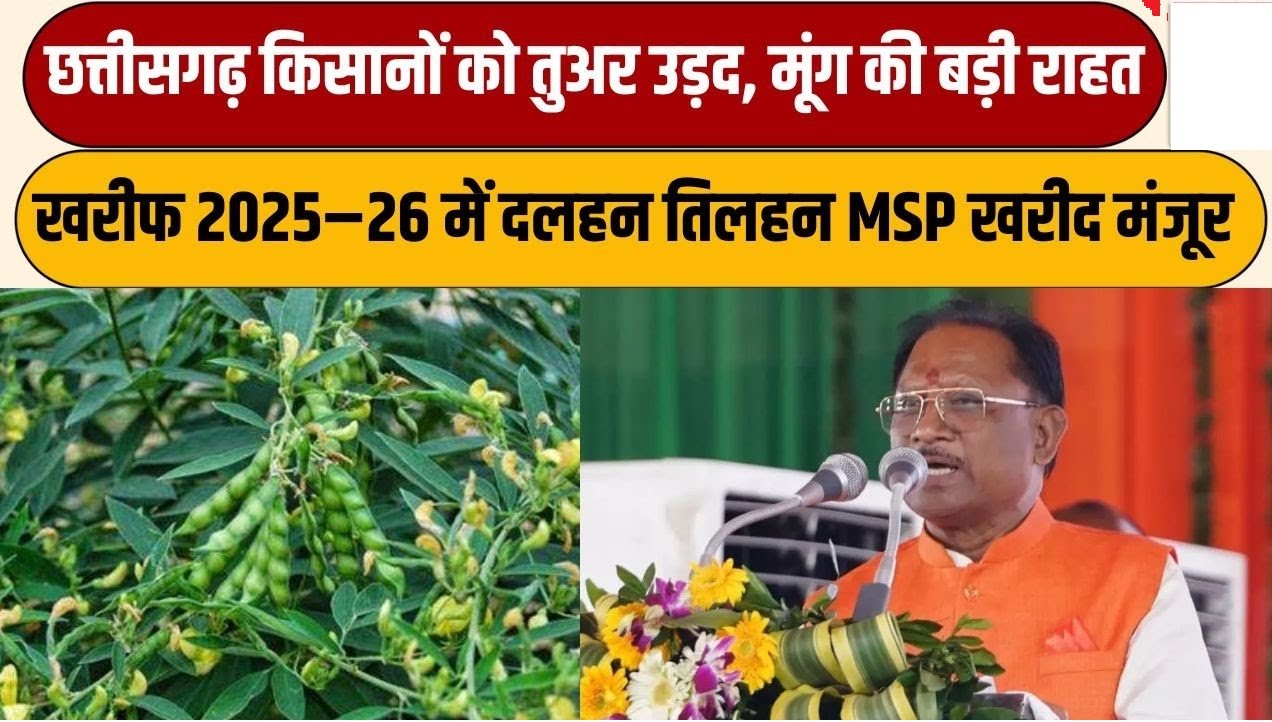 Urad MSP Procurement