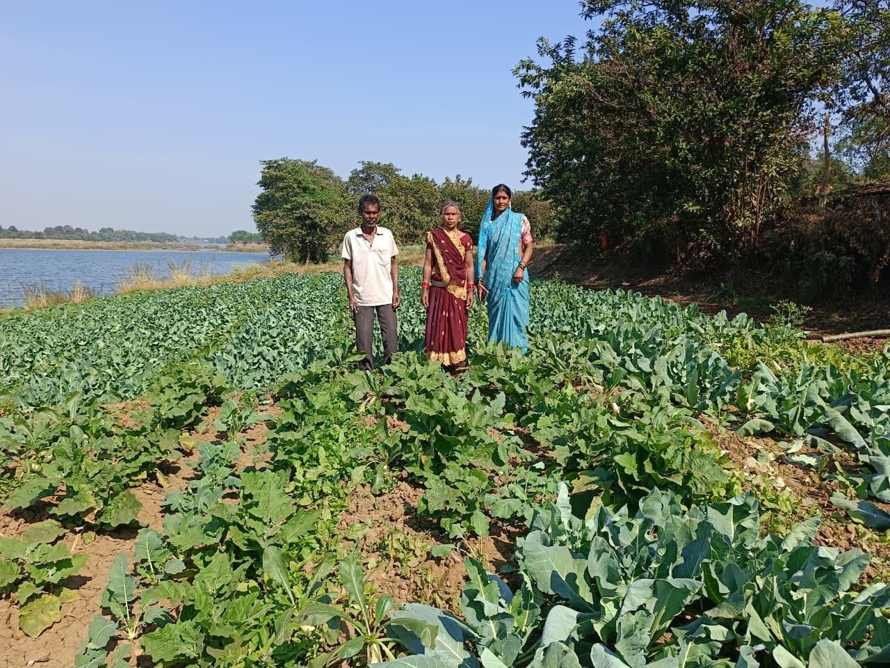 Chhattisgarh Organic Farming