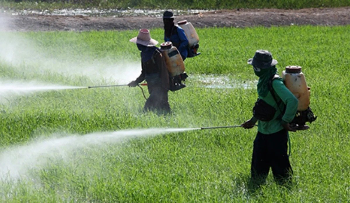 Pesticide Management Bill