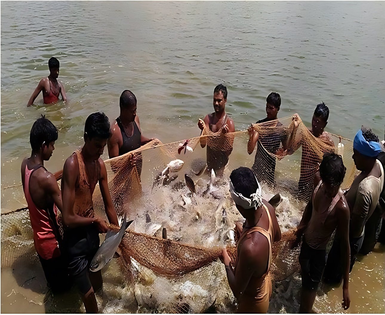 Prime Minister Matsya Sampada Yojana