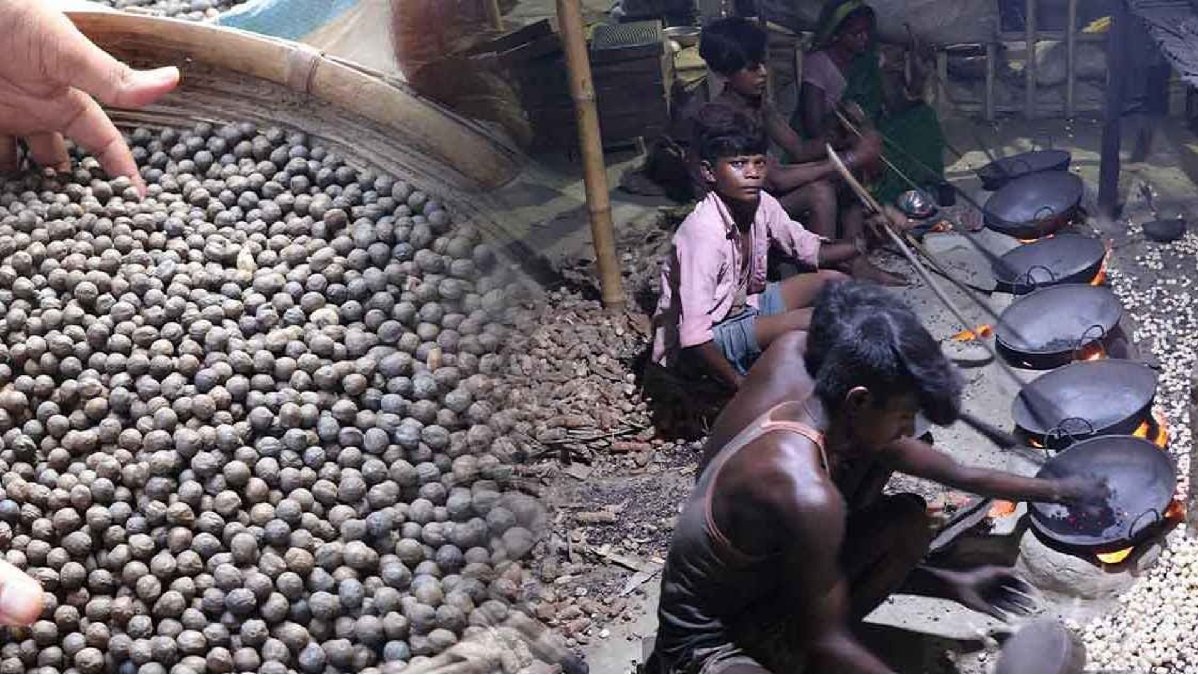 Makhana Development Scheme