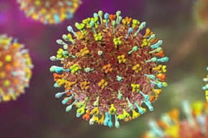 Nipah Virus Outbreak