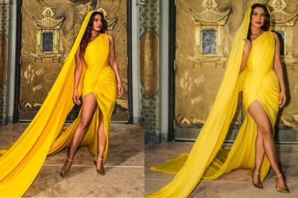 Priyanka Chopra Saree Look