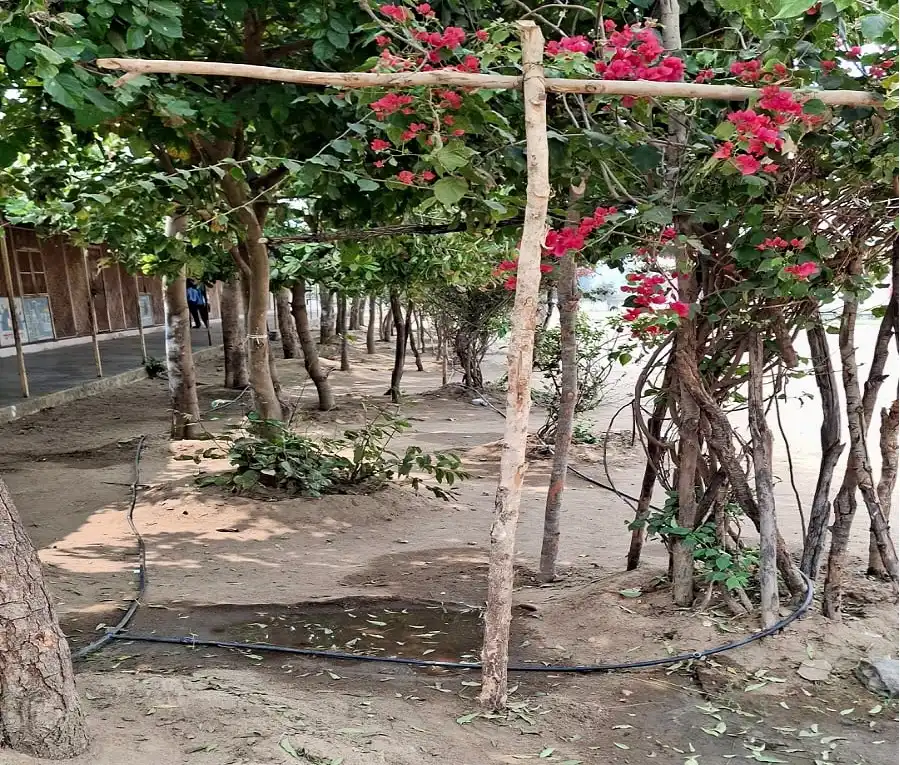 Waste Water Management